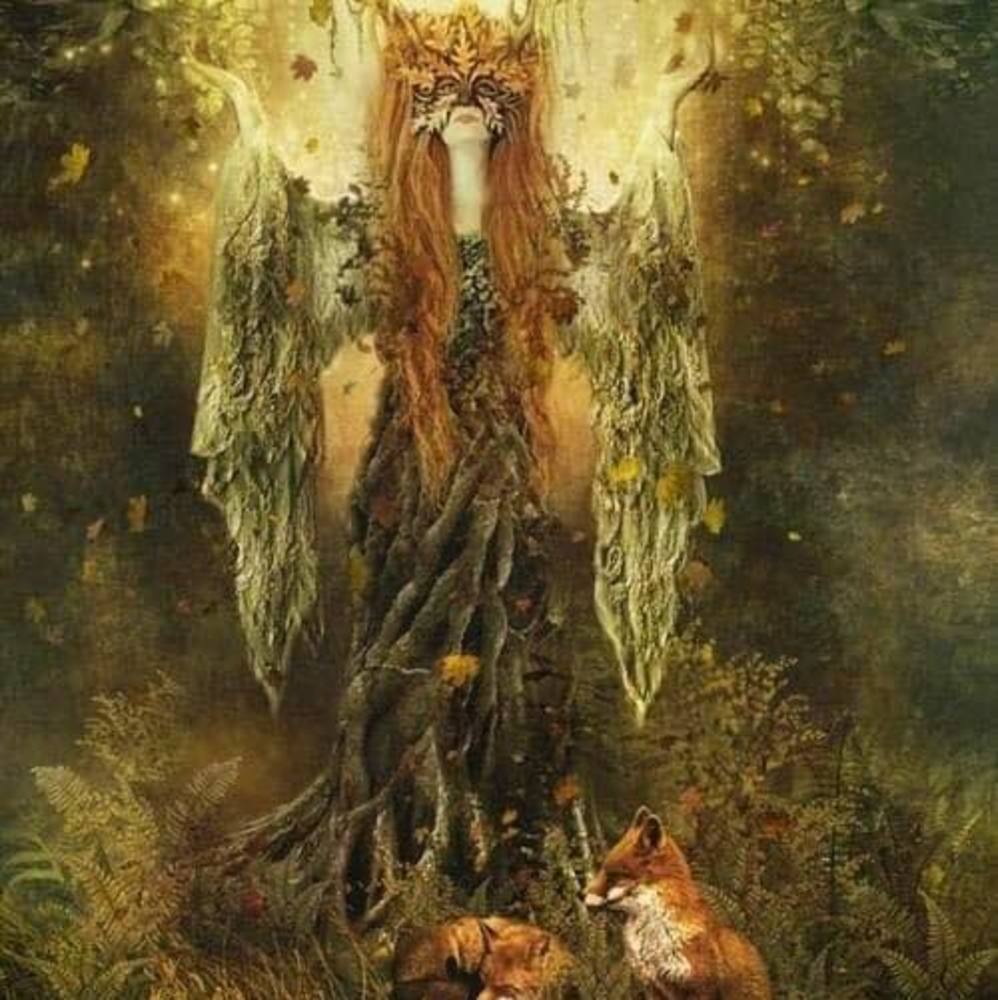 Meet your Posher, Janine